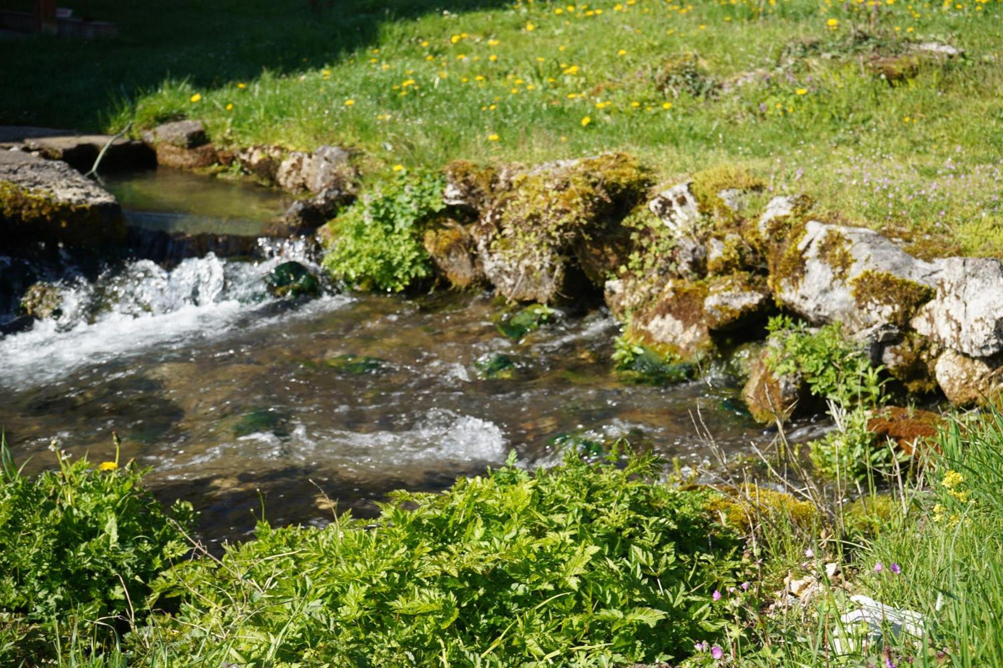 Domacinstvo Na Kraju Svijeta Guest House Sipovo Bagian luar foto